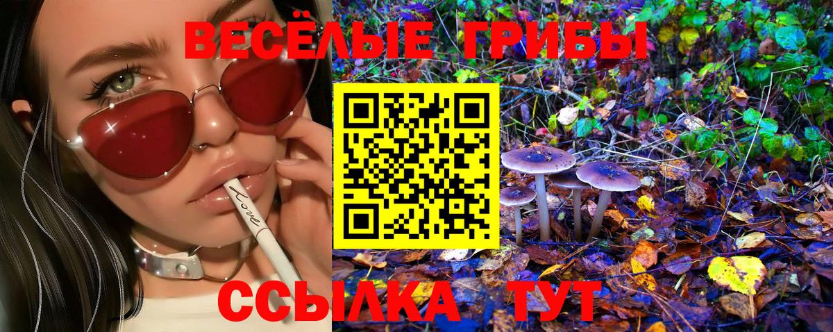 купить  сайты  Псилоцибиновые грибы Magic Shrooms  Вход с VPN  Алексин 